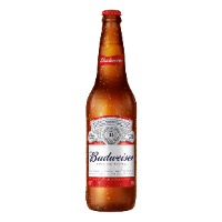 Cerveja Budweiser Garrafa 600ml